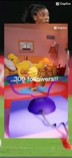300 followers!!