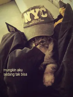 Teh Hijau 