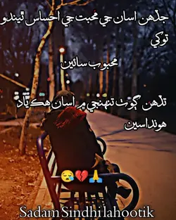 voice 