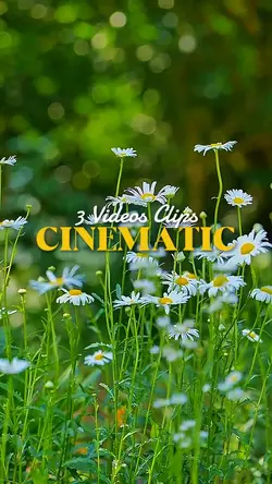 3 Videos Clips