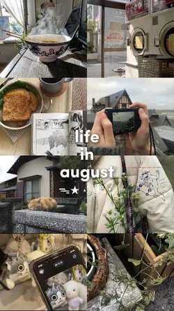 8 pic august 