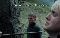 Hermione ruled (wait