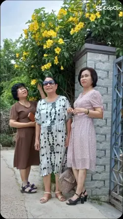 Căn nhà dĩ vãng 