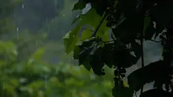 Cinematic slowmotion