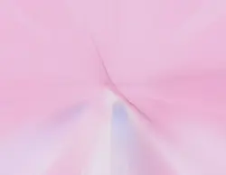 8枚