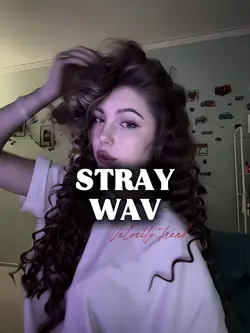 stray wav