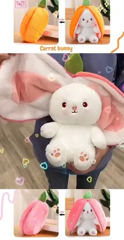 2in1 pillows 