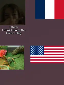 French flag