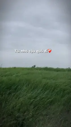 Tâm trạng 1 ảnh