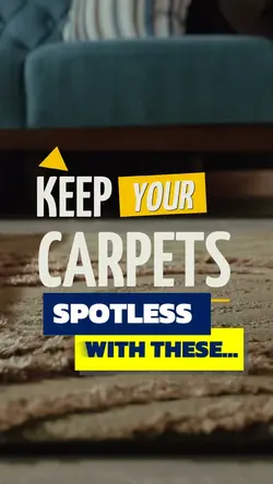 Carpet Cleaning 