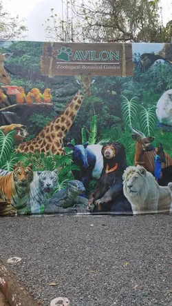 Avilon Zoo