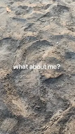 what about me? 
