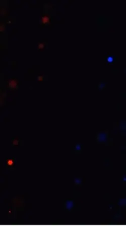 今を抱きしめて/cover