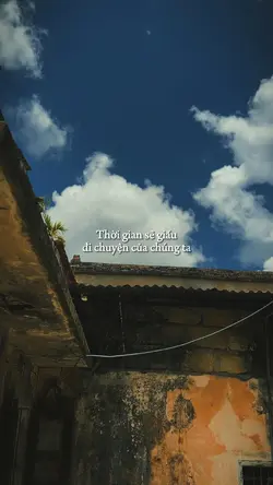 Chill 4 video màu