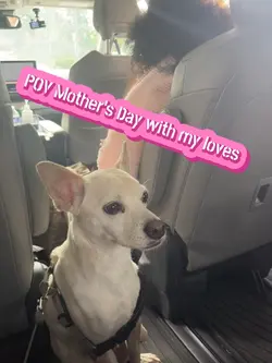 JoyRenee536