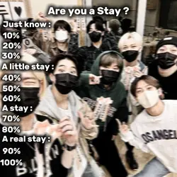 Are you a stay ?