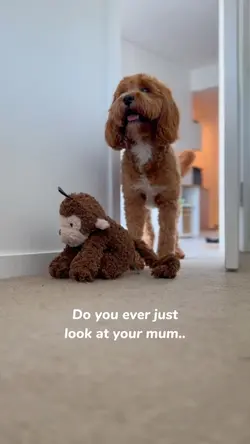 Puppy love ❤️ 