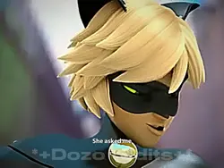 Cat/Chat Noir