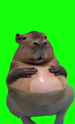 capybara meme 