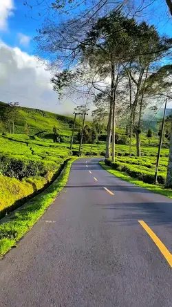 6 video travel HD 