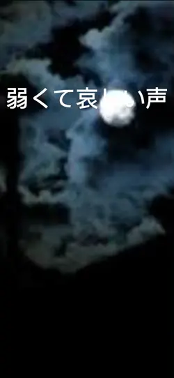透明になりたい