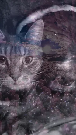 OUR BELOVED PETS