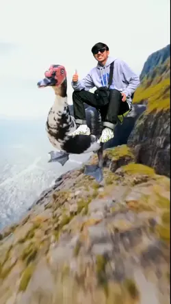 BEBEK TERBANG 