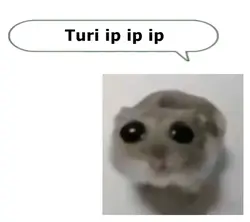 Turipip 😢