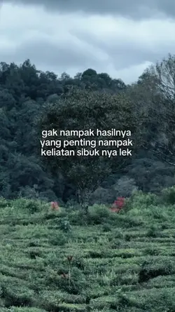 bahan story