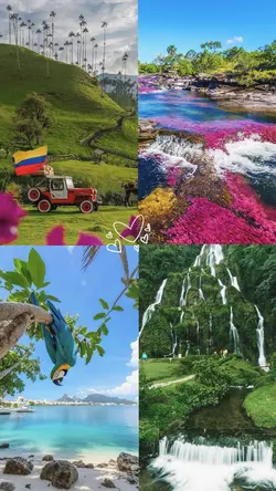 Naturaleza CapVibes