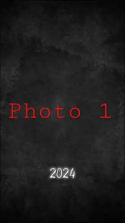 2024 to 2025 