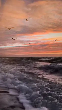 VIDEOS SLOW MOTION 