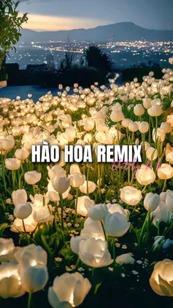 HÀO HOA REMIX