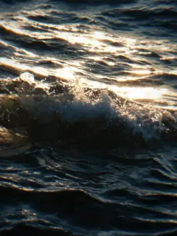Wave