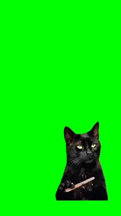 Cat feeling Nails 
