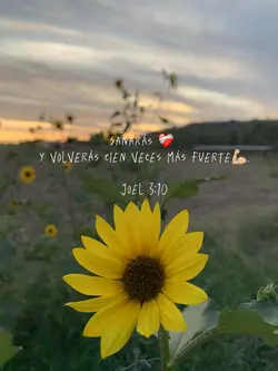 Joel 3:10