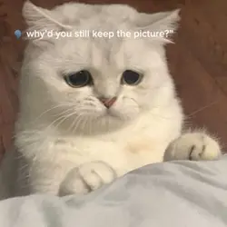 New template