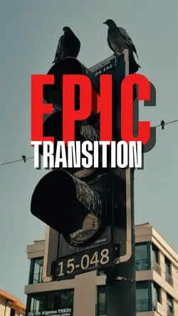 EPIC TRANSITION 