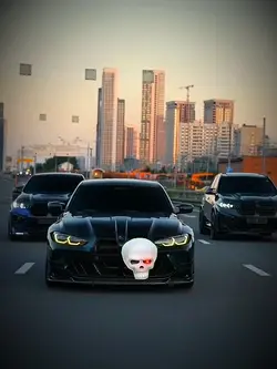 4 CLIP SKULL FACE