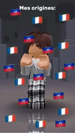 Mes origines🇫🇷🇭🇹