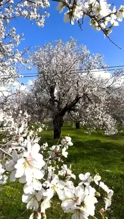 doğru yol