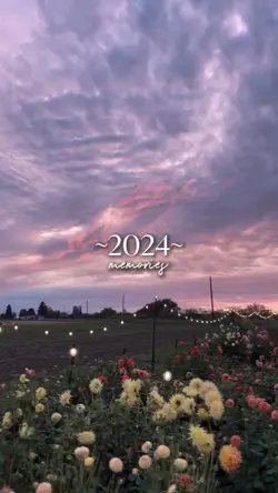 2024 memories 