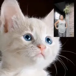 magaling na pusa