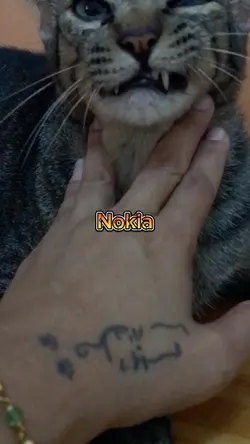 Intro Nokia
