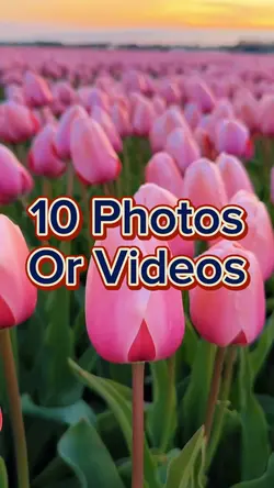 10 Photo Slideshow