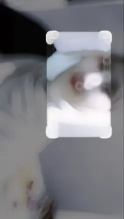 challenge crop foto