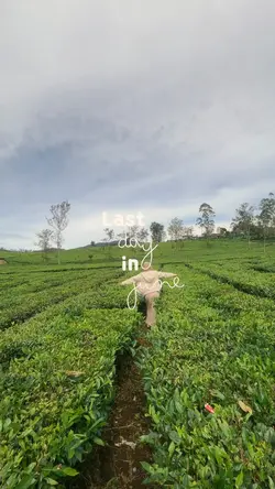Last day june slowmo