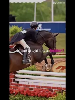 Huntersss >>