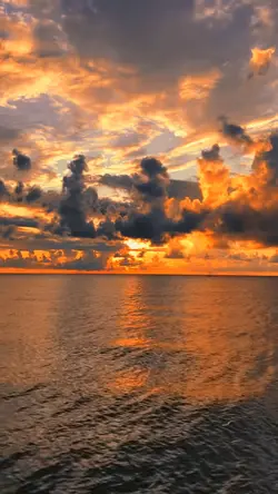 Senja