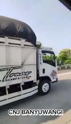 CNJ JAYA TRANS CABEe